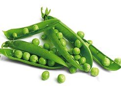 LE KILO PETIT POIS BIO (NON DÉCORTIQUÉ )