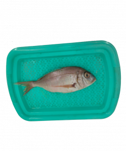 Poisson Dorade (1KG ou 1 Carton)
