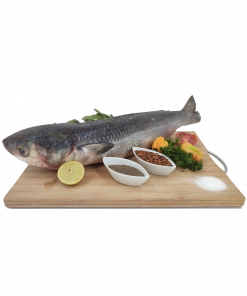 Poisson Mullet (Carton 20KG)