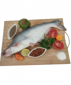 Poisson Gari ( Carton10KG )