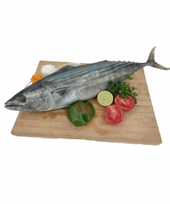 Poisson Thon (Carton 20KG)